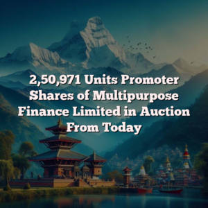 2,50,971 Units Promoter Shares of Multipurpose Finance Limited in Auction From Today